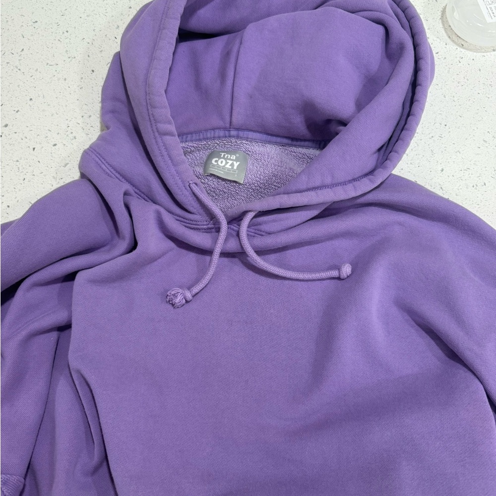 Aritzia Purple Hoodie